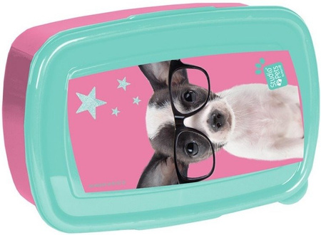 PASO Śniadaniówka Studio Pets PTD-3022 Piesek w Okularach