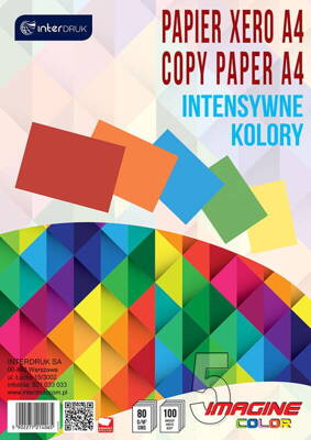 Interdruk Papier ksero A4/100 5 kolorów intensywne